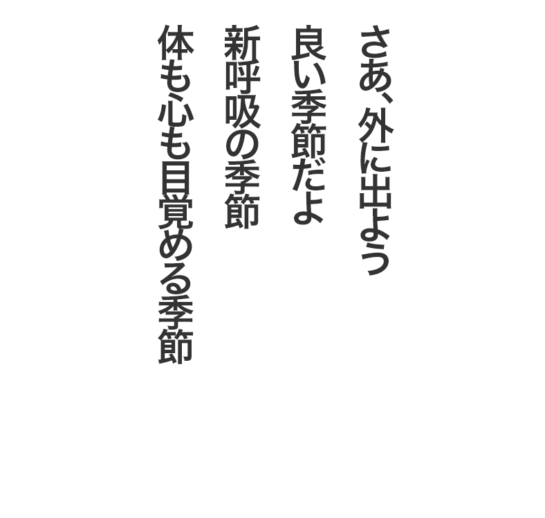 博多にわか面で登場！ | さだまさし月額公式サイト Mass@Mania