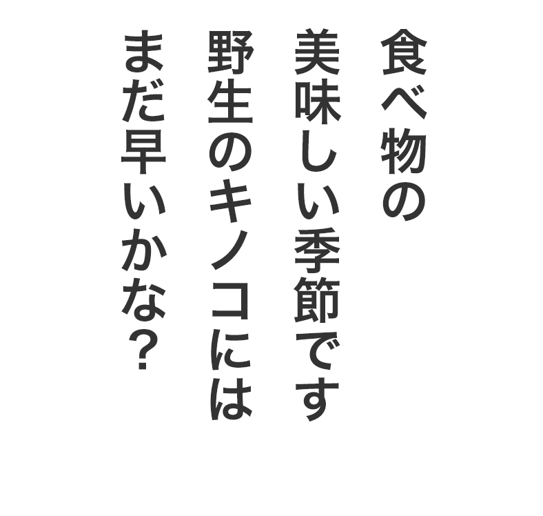 Mass＠Maniaリニューアル記念 豪華景品が当たるコンサート会場