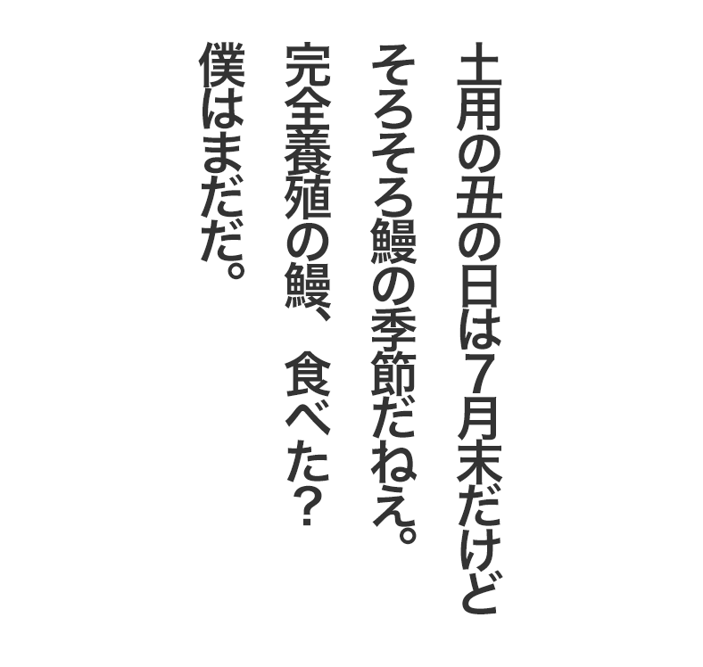 未開封新品！！椅子売ります！！誤って複数購入してしまいました！！ 間違えて同じ注文を2回してしまいました。（重複購入） | さだまさし